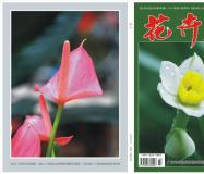 《花卉》园林专刊，省级，知网、万方、维普收录，3000字符